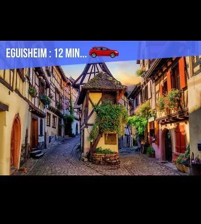 Refuge Ladhof Odysalis I Chic-moderne-proche Du Centre-ville 3 Pieces 2 * Colmar